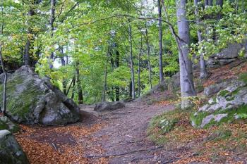 šíjový příkop oddělující vyýrazná skaliska s hradem (vlevo) od stoupajícího hřebene ( © Jan P. Štěpánek 10/2007)