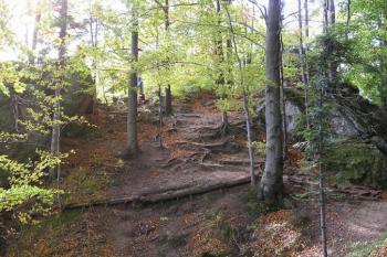 celkový pohled na hrad od severovýchodu ( © Jan P. Štěpánek 10/2007)