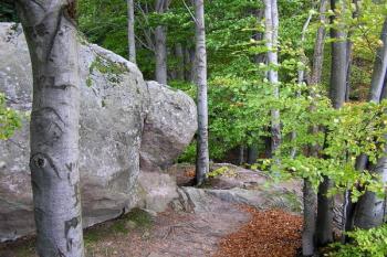 pohled z nádvoří na místo předpokládané vstupní brány ( © Jan P. Štěpánek 10/2007)