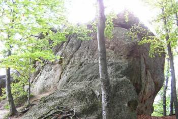 Celkový pohled z plochy nádvoří na hlavní skalní suk nesoucí centrální věžovitou stavbu ( © Jan P. Štěpánek 10/2007)