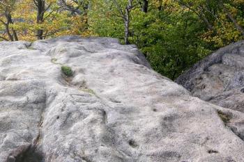 pohled od východu na plochu centrálního skaliska nesoucího patrně strážní věž ( © Jan P. Štěpánek 10/2007)
