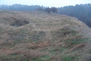 Západní okraj plochy hradu ( © Roman Řezáč 12/2004)