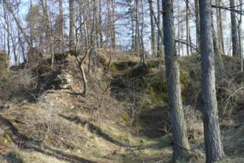 Rychvald - pohled ze zadní snížené části hradu do jádra (© zdeněk komínek, 04/2010)