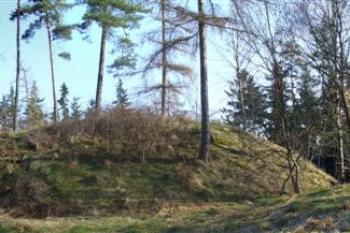 Rychvald - předhradí (© zdeněk komínek, 04/2010)