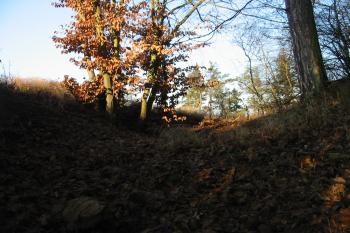 pohled na jz. příkop od východu (© D Dohňanský, 01/2016)