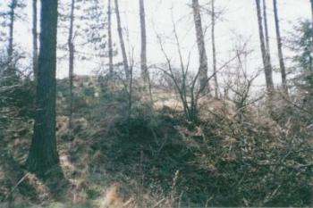 Rysov (2003 ©Michal Brůža)