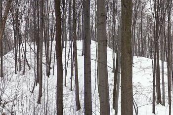  ( © Jan P. Štěpánek 03/2005)
