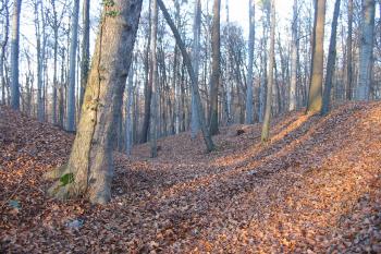 v podstatě jediný příkop na východě (© D Dohňanský, 12/2015)