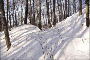 dochovaný krátký úsek valu a příkopu na západní straně hrádku ( © Jan P. Štěpánek 01/2006)