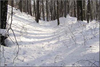 pohled do krátkého úseku zachovalého okružního valu a příkopu ( © Jan P. Štěpánek 01/2006)