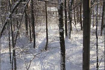 pohled z čela jádra do hlavního příkopu a přístupovou plošinu ( © Jan P. Štěpánek 01/2006)