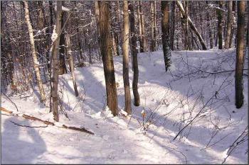 pohled z čela jádra na východě do hlavního příkopu a částečný výběžek valu ( © Jan P. Štěpánek 01/2006)