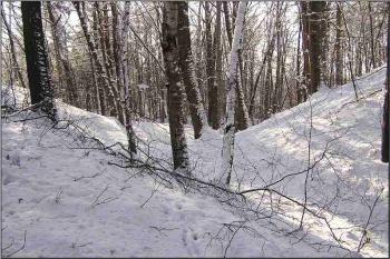 pohled od severu do hlavního příkopu ( © Jan P. Štěpánek 01/2006)
