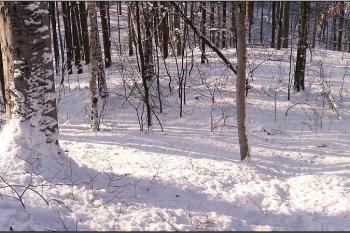 panorama plochy tzv. podhradí ( © Jan P. Štěpánek 01/2006)