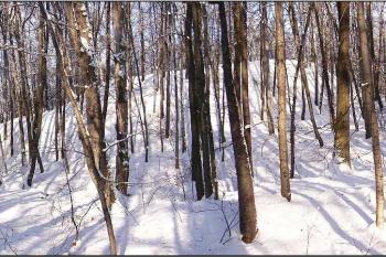 panorama celkové hmoty hrádku od jihu ( © Jan P. Štěpánek 01/2006)