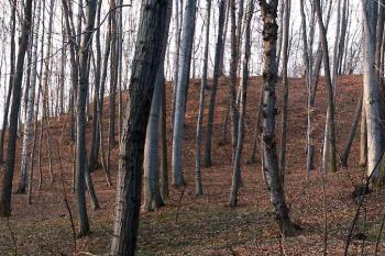 Celkový pohled na hrádek od jihu ( © Miroslav BITTER 2005)