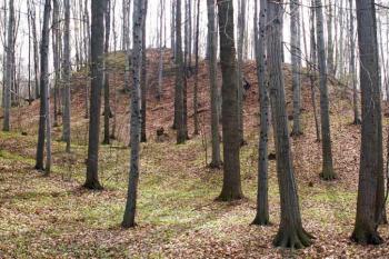 Celkový pohled od severu (vpravo na snímku tzv. podhradí) ( © Miroslav BITTER 2005)
