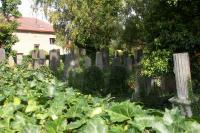 židovský hřbitov