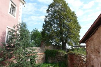 Hrad Sádek (© Jaroslav Šefčík, 08/2009)