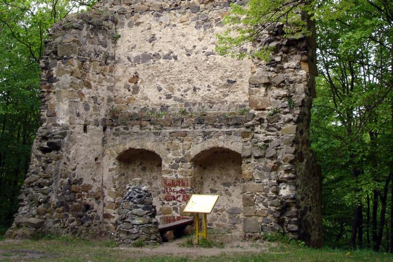 Rokitnica