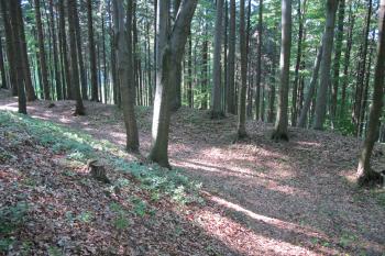 sev.okružní příkop (© D Dohňanský, 06/2017)