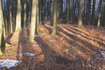 Předhradí, za ním vlastní hrad ( © Dušan Dohňanský 03/2020)