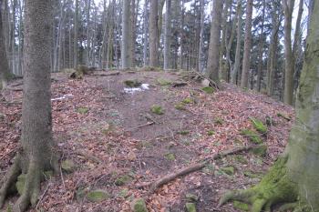 Místo snad bergfritové věže věže chránící vstup do parkánu na severu ( © Dušan Dohňanský 03/2020)