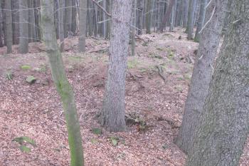 Sv. val s parkánovou zdí, za ním okružní val ( © Dušan Dohňanský 03/2020)
