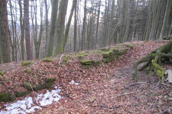 Zřejmě plášťová zeď na jižní straně areálu ( © Dušan Dohňanský 03/2020)
