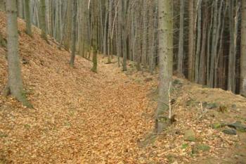severovýchodní příkop a val jádra (2003 ©Puffin)