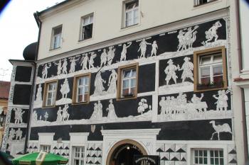 (© Alena Volná, 6/2008)