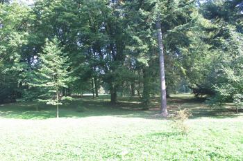 část parku (© D Dohňanský, 10/2016)