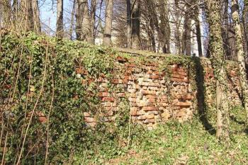 krátký úsek zachovalé ohradní zdi bývalého zámeckého parku na západě ( © Jan P. Štěpánek 02/2008)