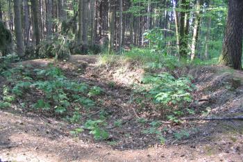 Pravděpodobně základy věže (© Petr Nožička, 05/2007)