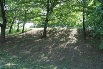 sev.strana (© D Dohňanský, 06/2017)