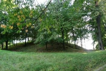 celkový pohled na lokalitu tvrziště od severovýchodu ( © Jan P. Štěpánek 09/2008)