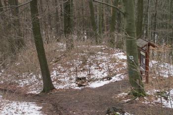 Předhradí na jihu ( © Dušan Dohňanský 03/2020)