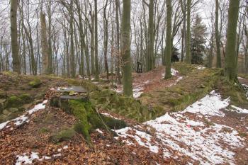 Linie plášťové zdi na západní straně ( © Dušan Dohňanský 03/2020)