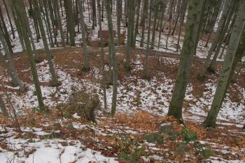Pohled ze sev. parkánu do sev. příkopu ( © Dušan Dohňanský 03/2020)