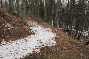 Linie parkánnového prostoru a hradby na sv. ( © Dušan Dohňanský 03/2020)