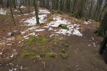Obrys jižní plášťové zdi ( © Dušan Dohňanský 03/2020)