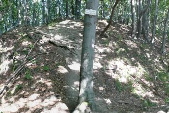 pohled přes příkop na čelo hradu s místem brány do parkánu ( © Jan P. Štěpánek 09/2008)