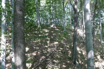 pohled na pahorek s pozůstatky hradu od jihovýchodu ( © Jan P. Štěpánek 09/2008)