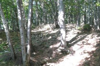 plocha hradu od západu, z místa vstupní brány do jádra ( © Jan P. Štěpánek 09/2008)