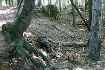 celkový pohled na plochu jádra hradu ze severního nároží bývalé plášťové hradby ( © Jan P. Štěpánek 09/2008)