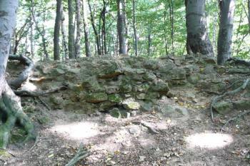 pozůstatky vnějšího líce západní části plášťové obvodové hradby ( © Jan P. Štěpánek 09/2008)