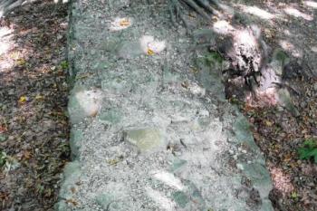 torzo hradby parkánu při vstupní bráně ( © Jan P. Štěpánek 09/2008)