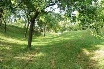 okružní příkop v západním čele tvrze ( © Jan P. Štěpánek 09/2008)