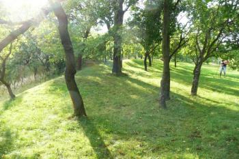 pozůstatky čelního valu na jihozápadě čela tvrziště ( © Jan P. Štěpánek 09/2008)