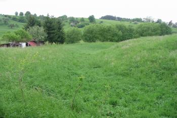 jižní příkop (© D Dohňanský, 05/2015)